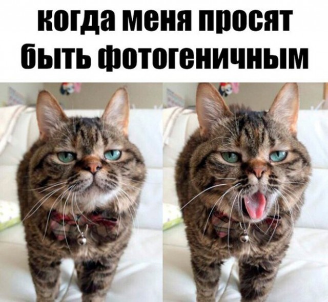 Картинки и мемы для настроения 003