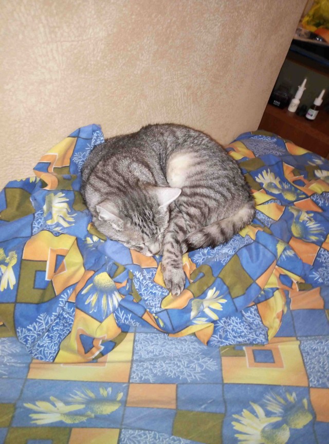А чо это вы тут делаете, а?