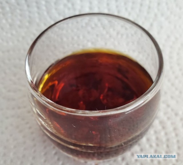 Чага - берёзовый гриб