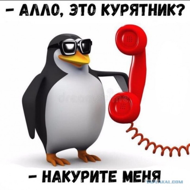 Женский взгляд на мужчину
