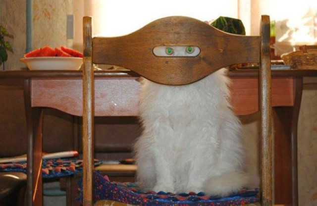 Пятничные маразмы дышат в спину