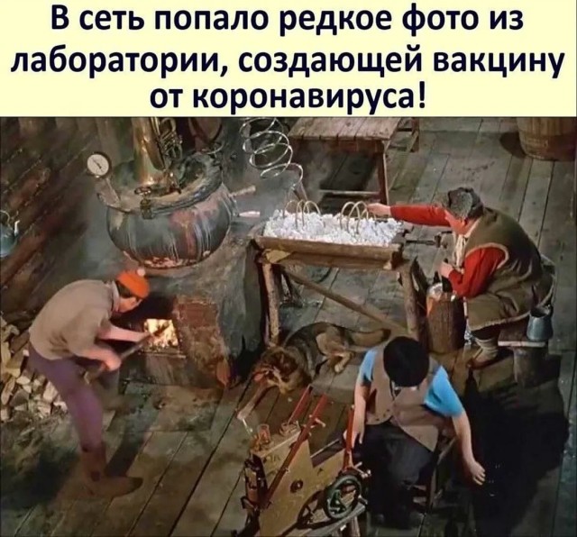 Эволюция Гинцбурга