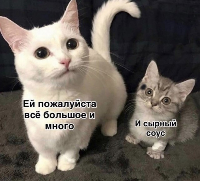 Картинки и мемы для настроения 03.08.2021