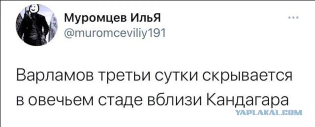 Варламов успел свалить от запрещенных в России талибов