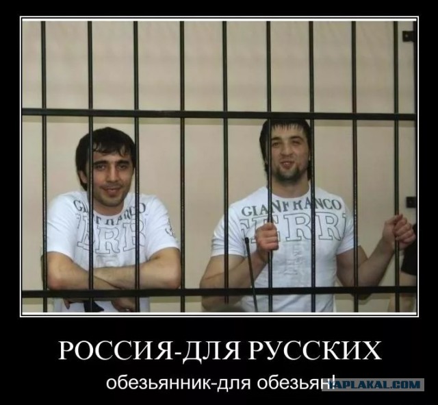 Опять Питер. Опять стрельба.