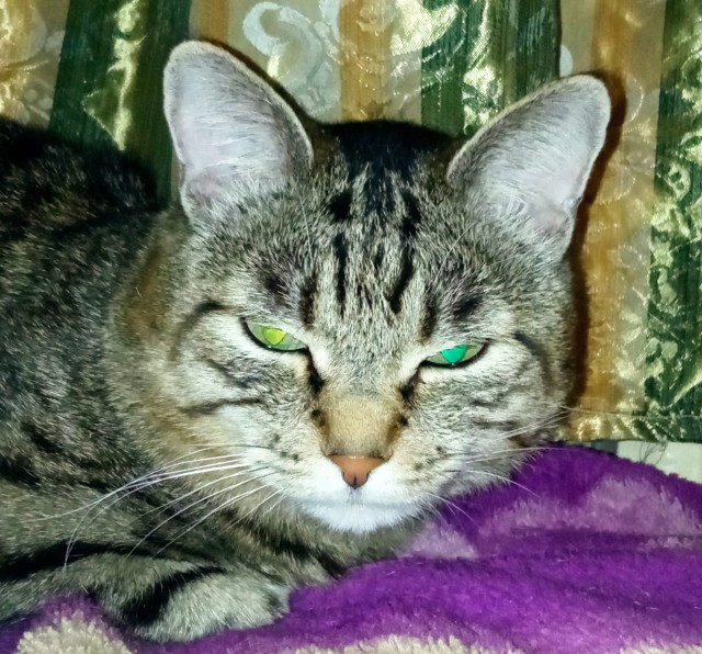 Котовторниковское
