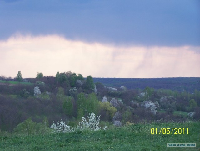 Зеленый (сельский) туризм в Моринцах (Украина)