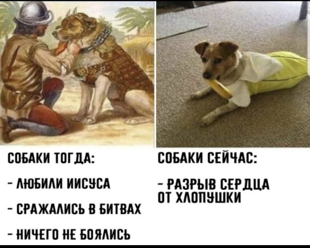 Всяких картинок не для всех пост