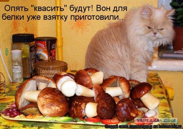 Все решения у нас приняты