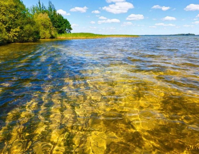 Пандемия. Коронавирус и съехавшие крыши. Россия и мир. Часть 34.