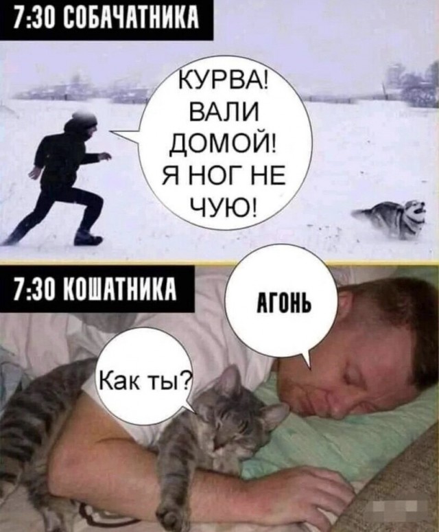 Так себе картинки 25.05.22