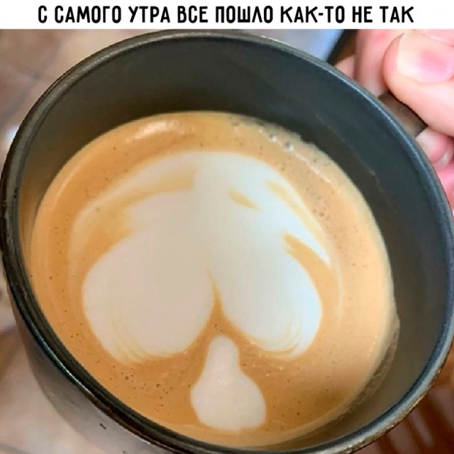 Весёлый полтишок 08.06.2022