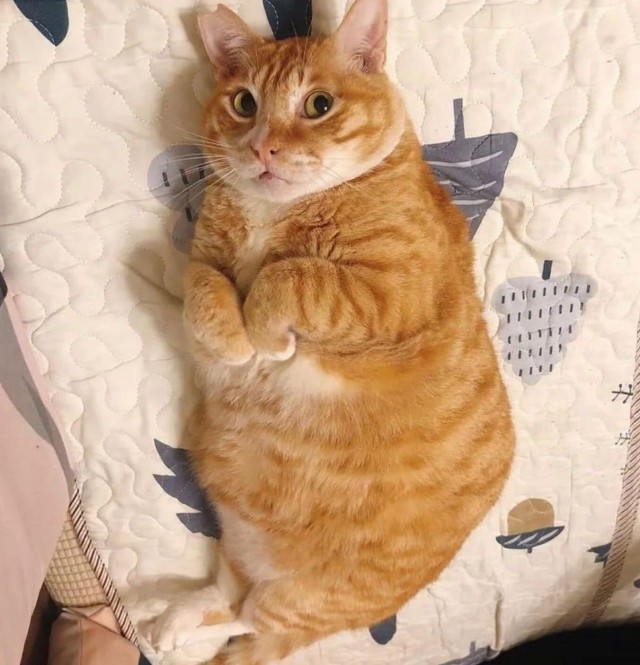 Григорий