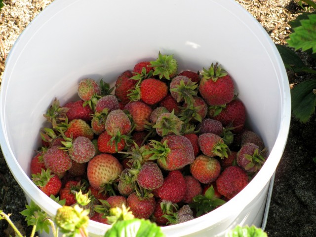 Кольский полуостров