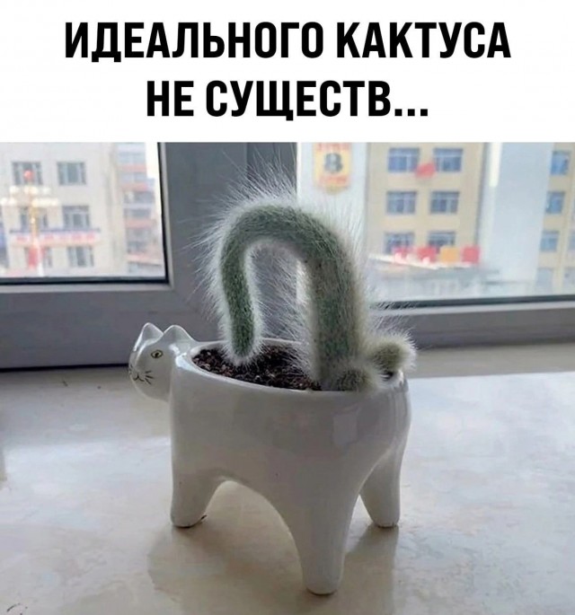 Юмор в картинках и без