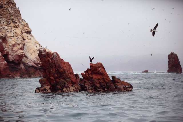 Южно-Американский дневник. Перу.