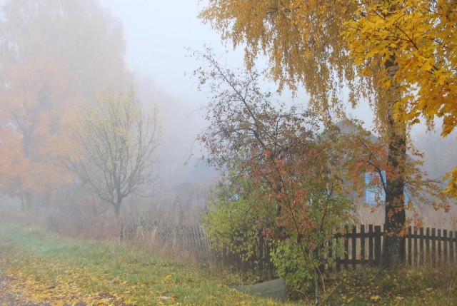 Поздней осенью в деревне