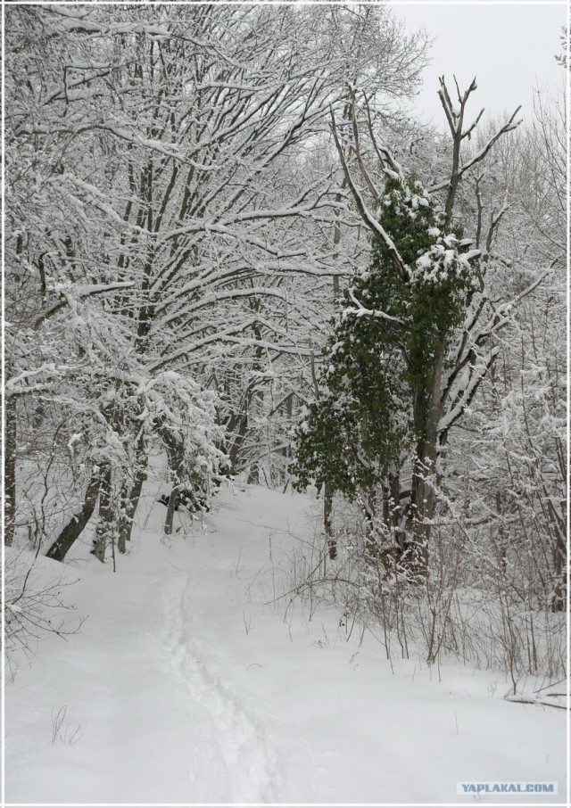 Крым. Терновка. Зимние дороги.