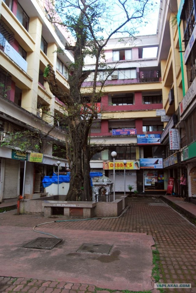 ГоА свои впечатления