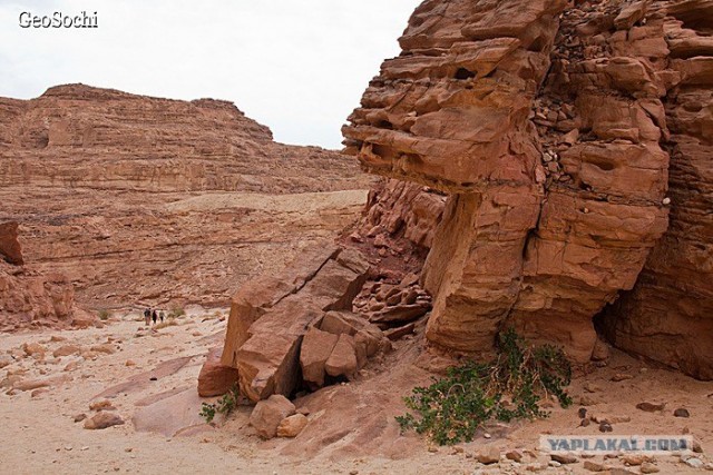 Синайские приключения. Шарм-эш-Шейх и окресности