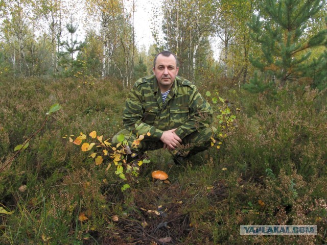 Десять самых красивых видов грибов в мире