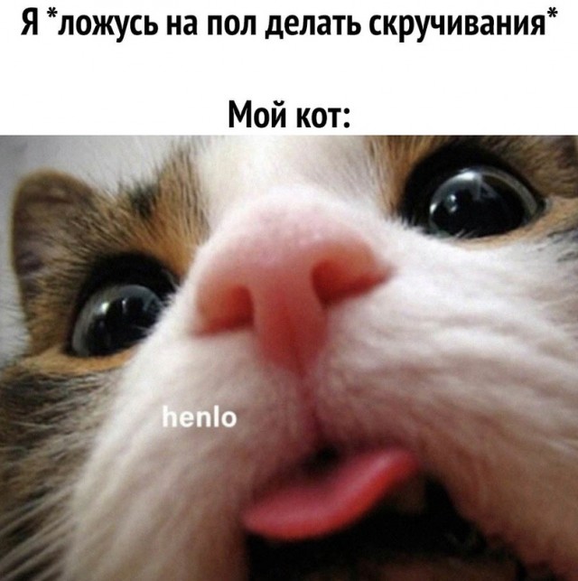 Картинки и мемы, всем хороших выходных