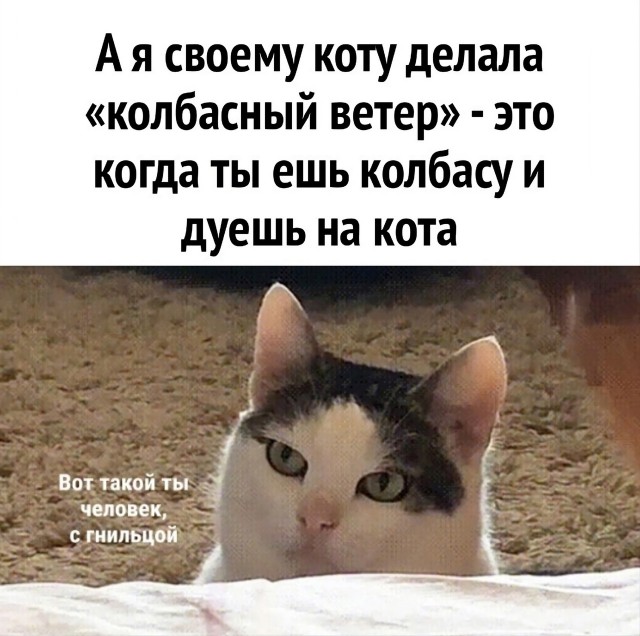 Так себе картинки 02.06.23