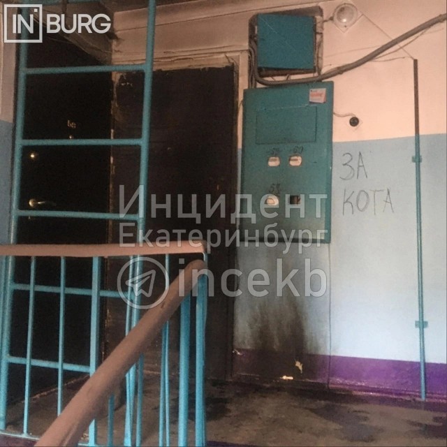 Ребенок издевается над собакой 2