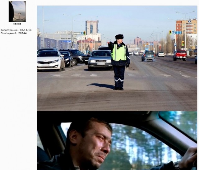 Весёлый полтишок 01.10.23
