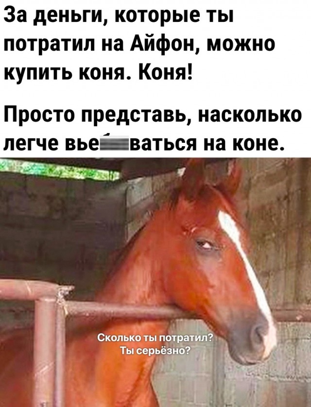 Так себе картинки 09.10.23