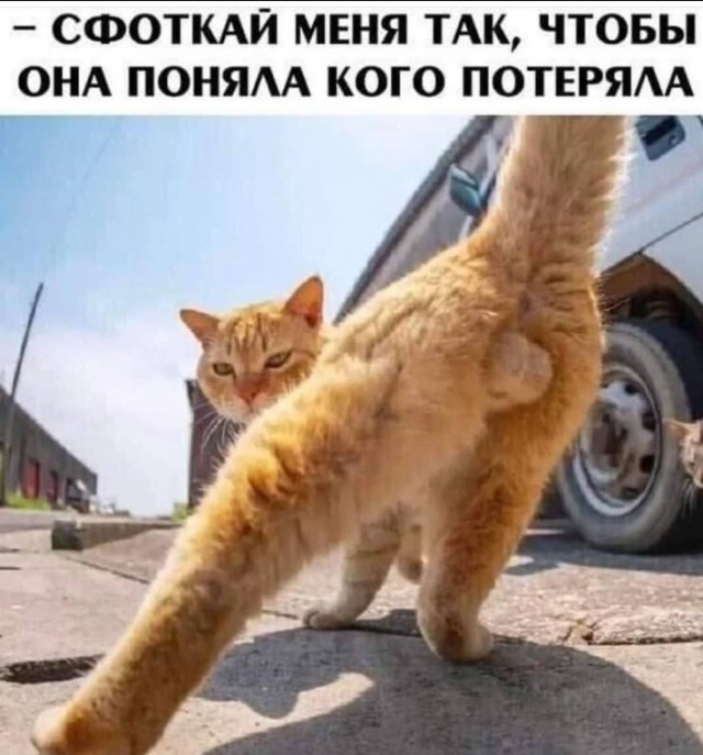 Всего понемногу. От 01.03.24