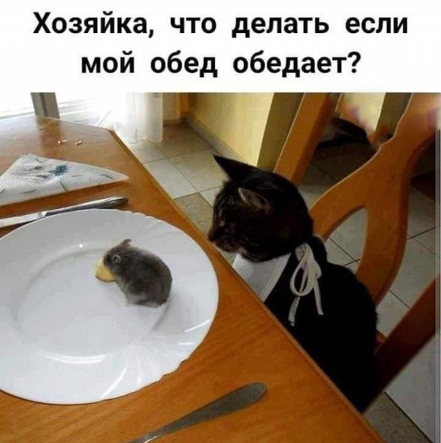 Принимайте в собратья, которабы