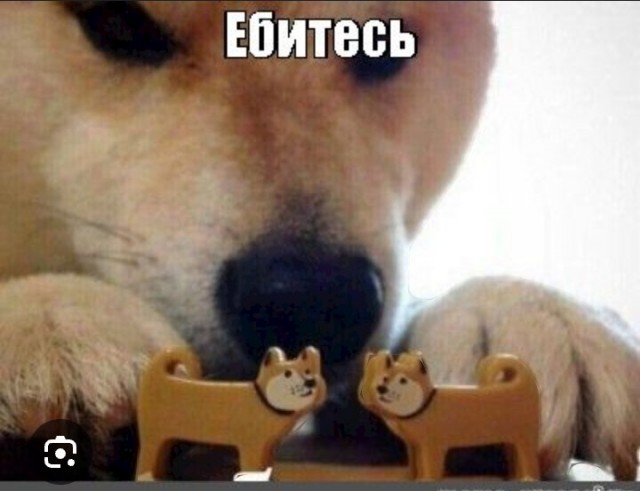Гомосятина = ЕС
