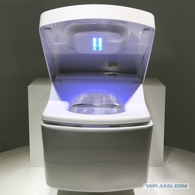 В России разработали смываемую втулку для туалетной бумаги