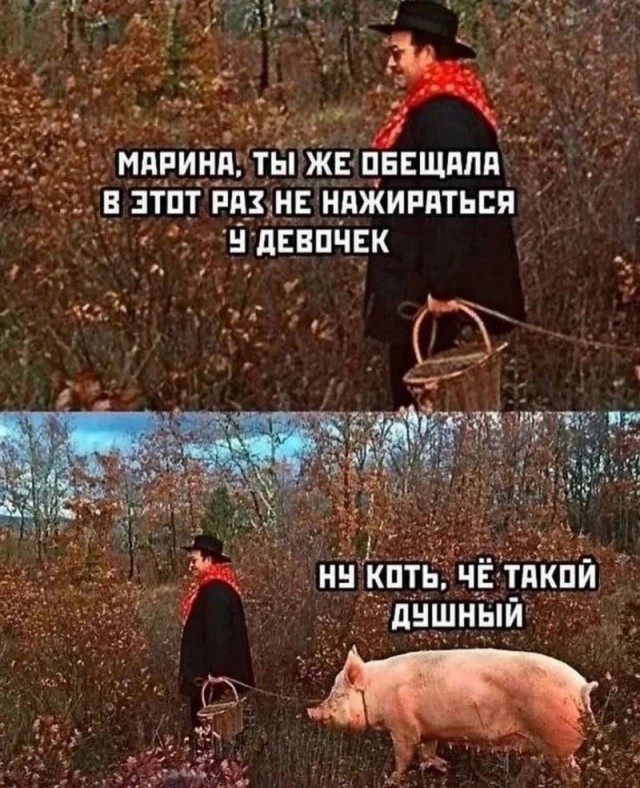 Завалялось тут случайно немного забавных картинок