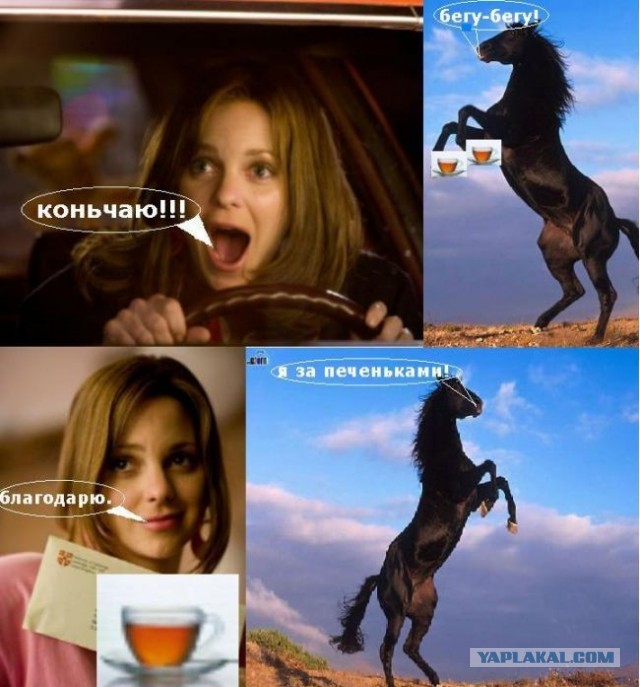 Как невовремя завис браузер