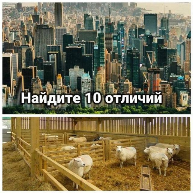 Картинки разные с надписями и без