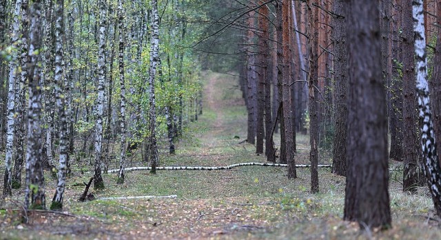 Моя идеальная фотография