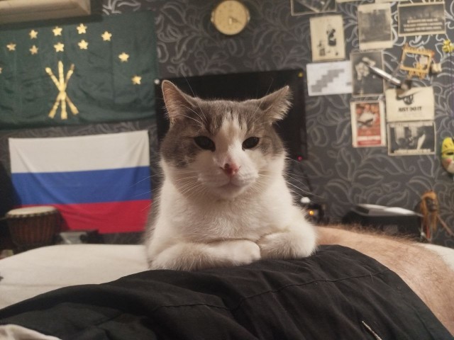 Это не меня заперли с вами, это вас заперли со мной