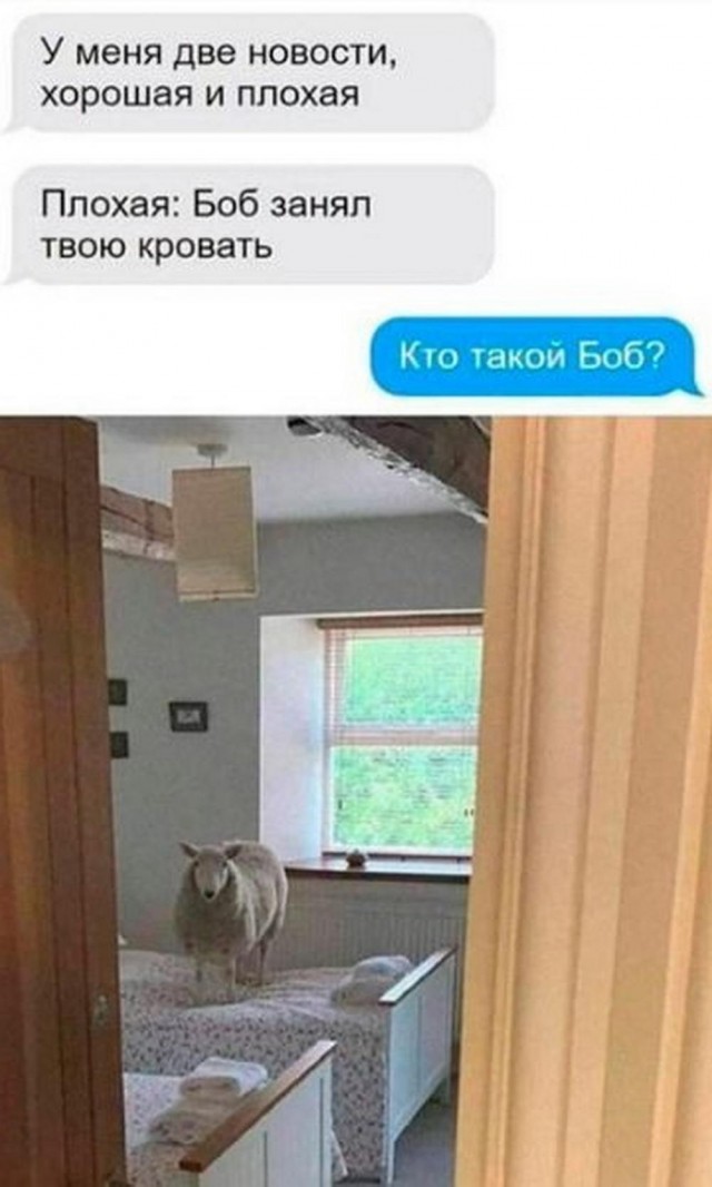 Всего понемногу. От 27.02.2025