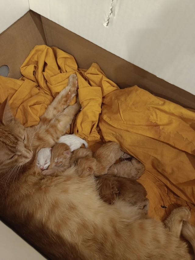 Хоть за него порадуемся