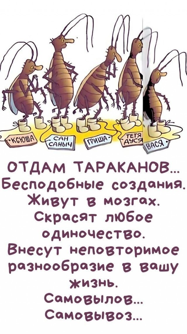 Прикольные и просто красивые картинки 23.05.2025