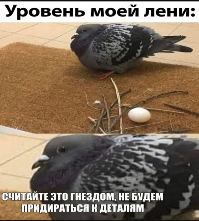 Интернет мемы на утро субботы