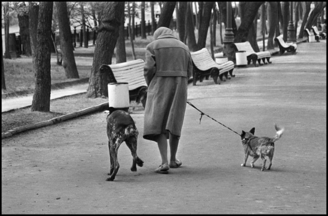 Фотографии из прошлого нашей страны – 107