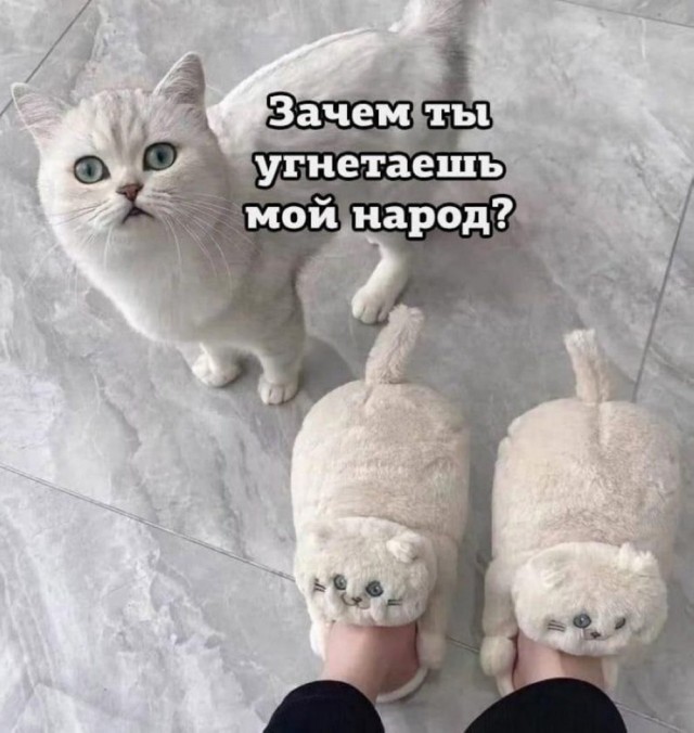 Пятничные бояны