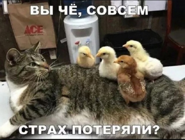 Завалялось тут случайно немного забавных картинок