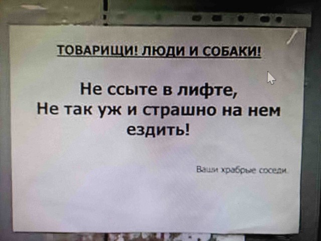 Туалетный креатив.