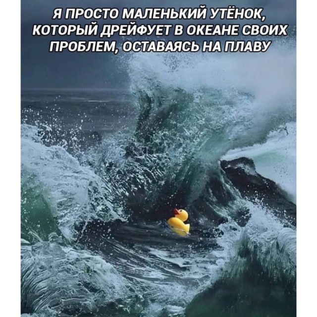 Картинки для деградации 44 (разной степени свежести)