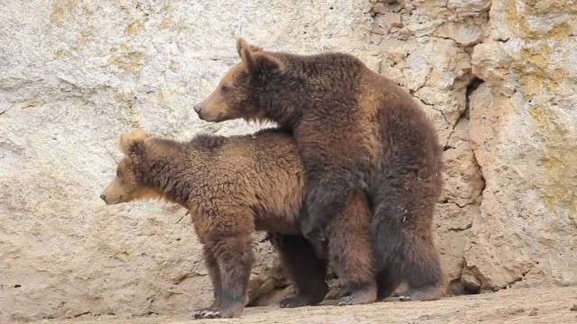 Четверг . Картинки для бодрого утра