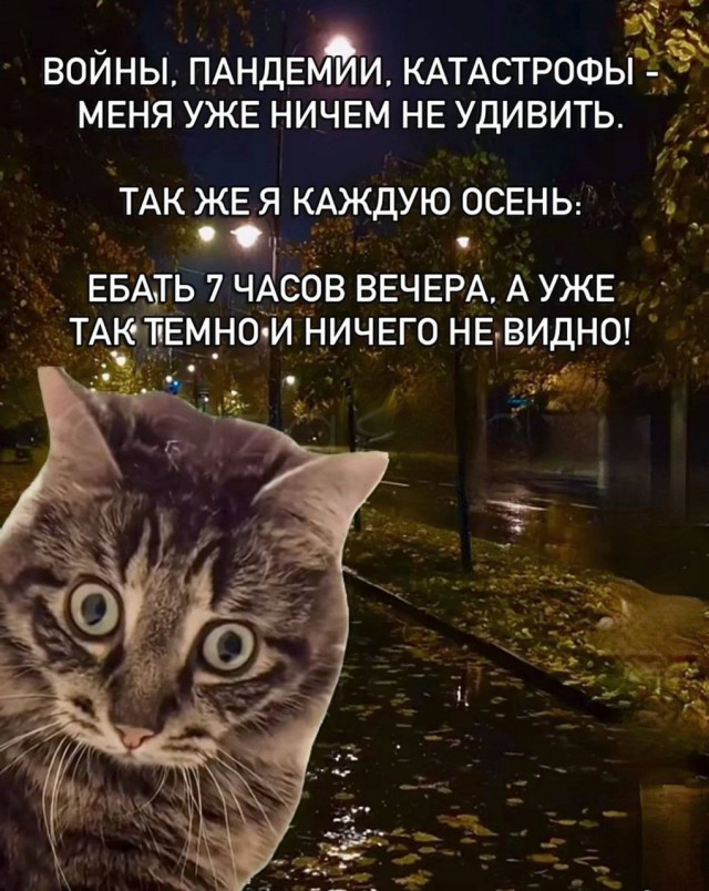Так себе картинки 03.11.25